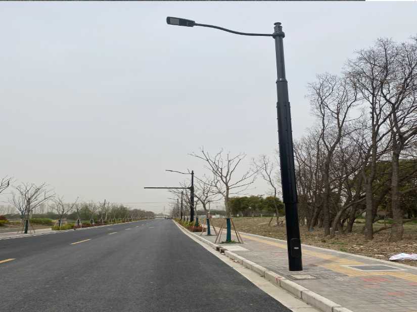 禅城区上海综合杆 太阳能路灯工程